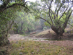 रणथम्भौर क़िला %25E0%25A4%25B0%25E0%25A4%25A3%25E0%25A4%25A5%25E0%25A4%25AE%25E0%25A5%258D%25E0%25A4%25AD%25E0%25A5%258C%25E0%25A4%25B0%2B%25E0%25A4%2595%25E0%25A4%25BC%25E0%25A4%25BF%25E0%25A4%25B2%25E0%25A4%25BE%2B3 - रणथम्भौर क़िला