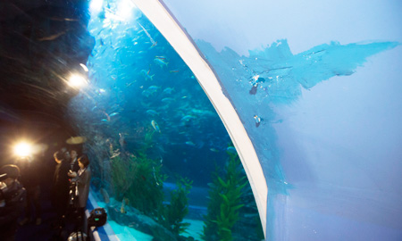 Grieta en el gran acuario de la Lotte Tower de Jamsil en Seúl
