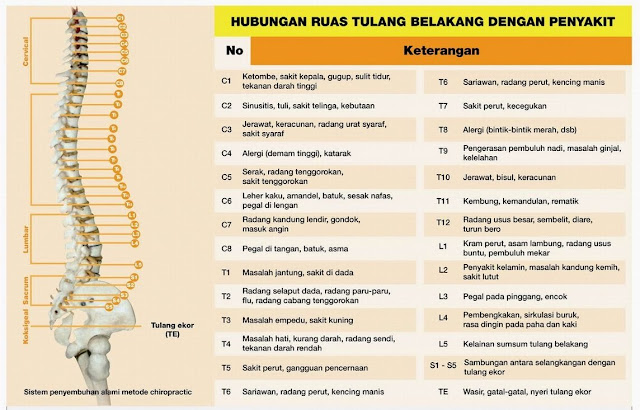 tulang belakang dan penyakit