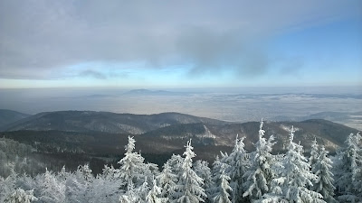 widok z wieży na Kalenicy