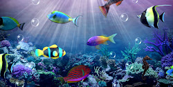 desktop wallpapers aquarium moving pantalla backgrounds acuario vivo app android hipwallpaper terbaru comp screen aplicacion gratis