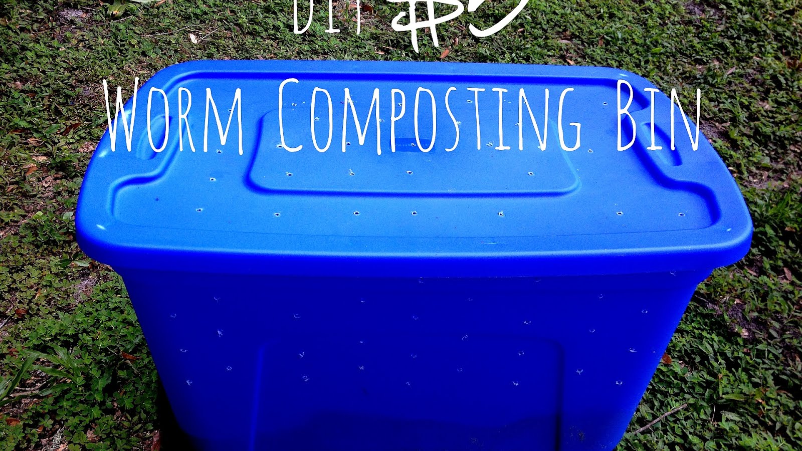 Worm Composting Diy - DIY Choices