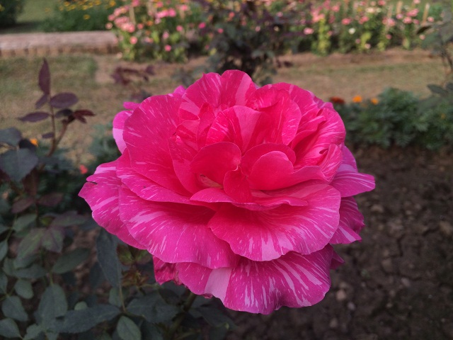 Primo R4S camera sample in low light