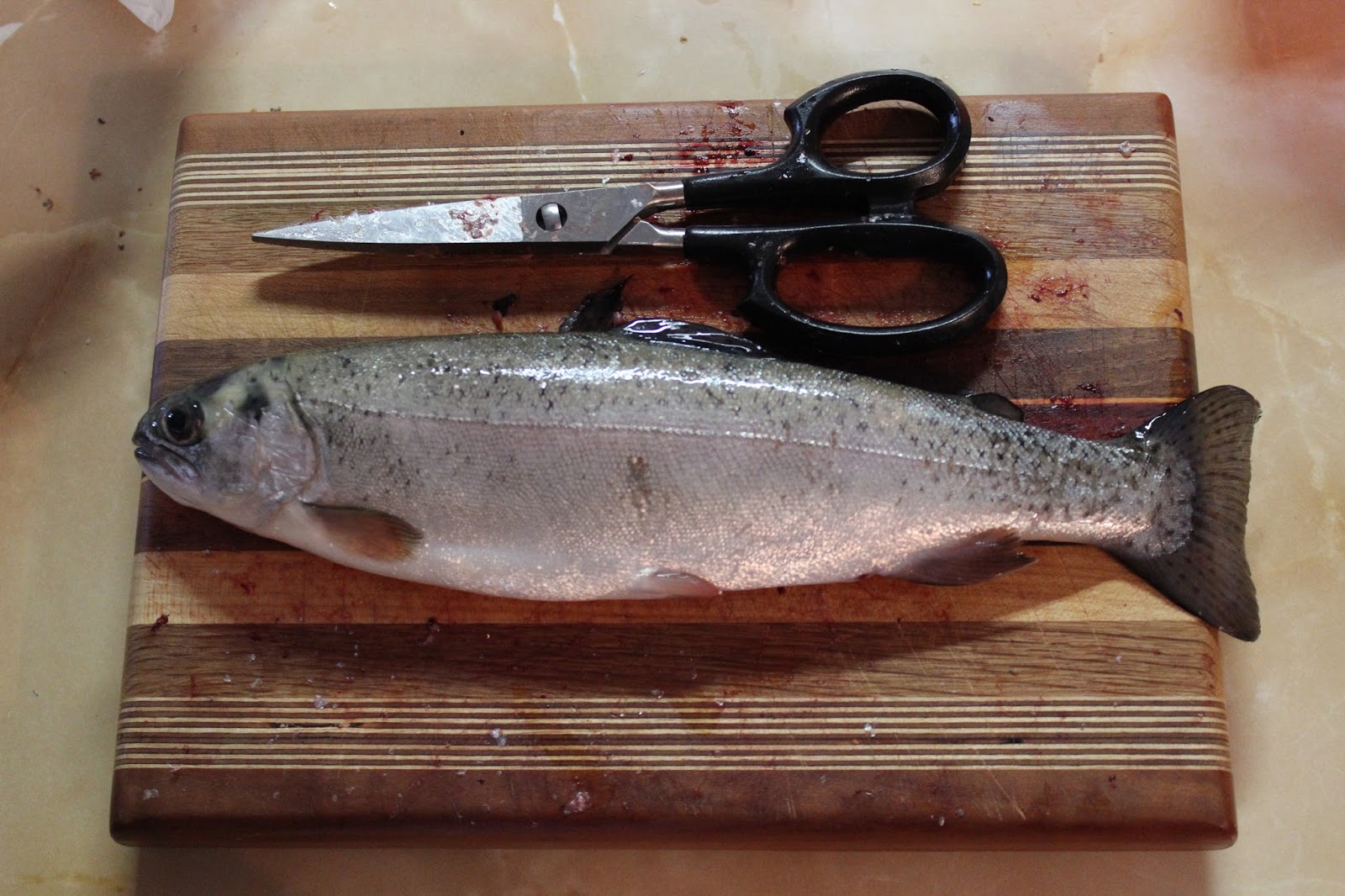 The Professor and Mary Ann Blech! Fish Guts