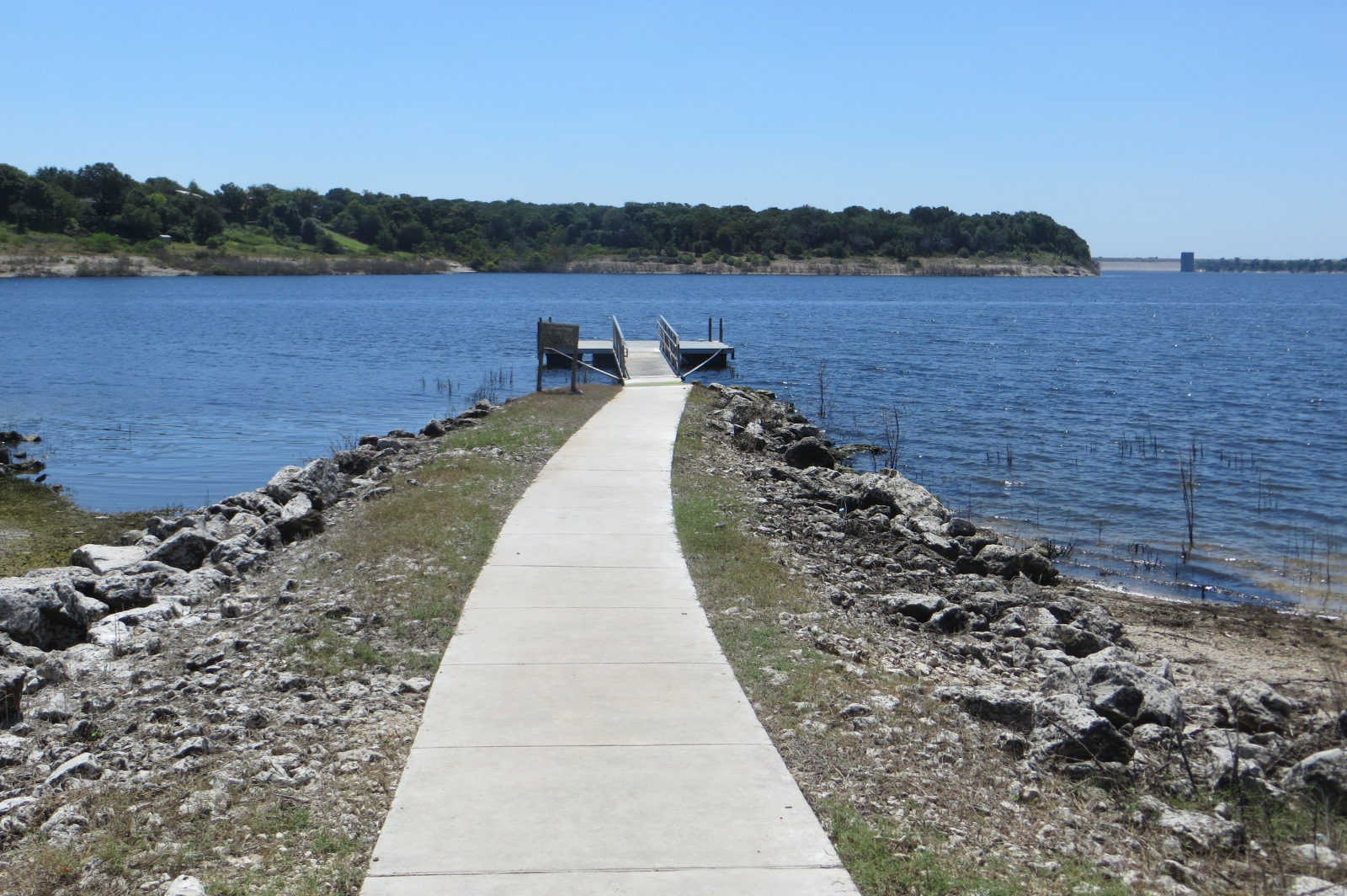 Ruth's Life is Good 721 Flo Swimming in Belton Lake
