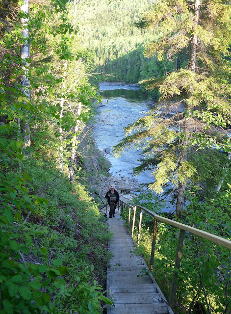 Jessie hoofing it out of Cuve, York river, Gaspé Jessie hoofing it out of Cuve, York river, Gaspé