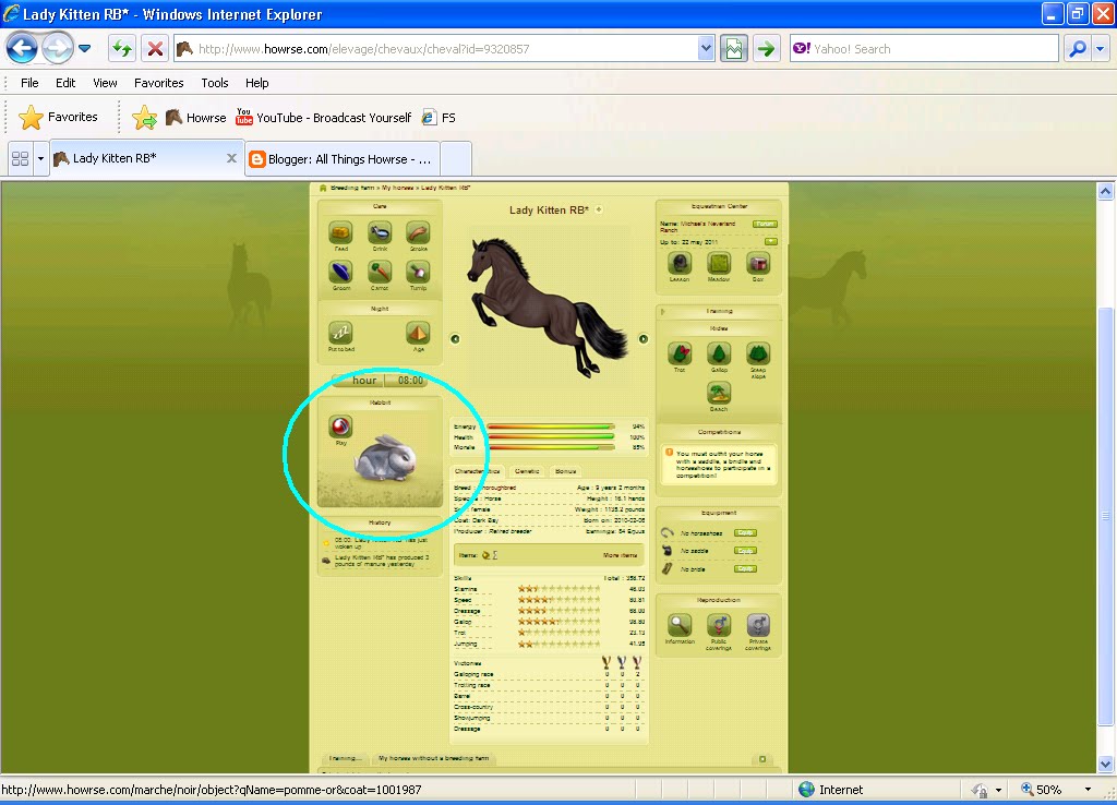 All Things Howrse New Features and Companions