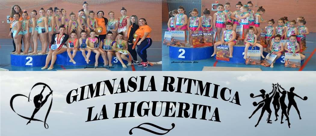 https://gimnasiaritmicalahiguerita.blogspot.com.es