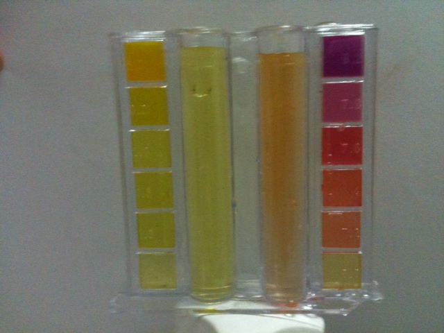 como medir o ph e alcalinidade da piscina