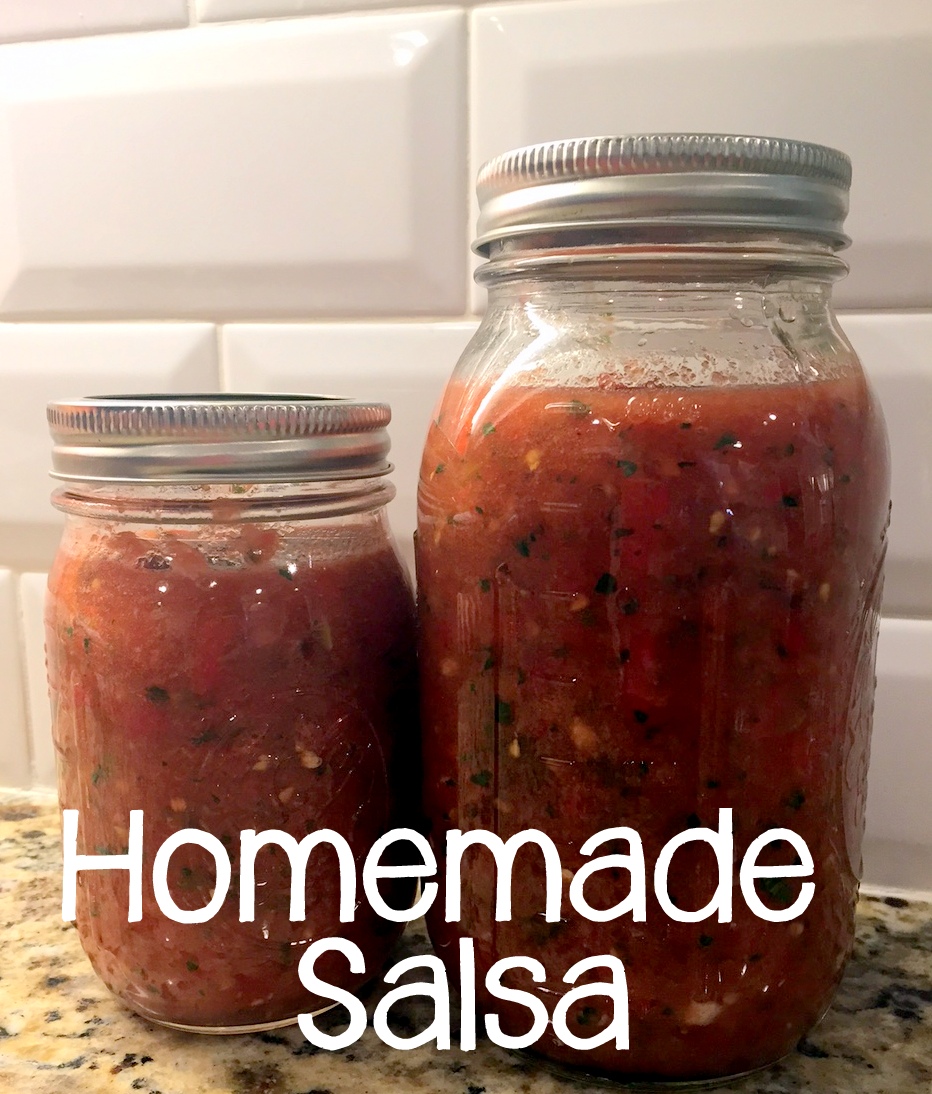 Live and Learn From the Kitchen Homemade Salsa (Vitamix!)