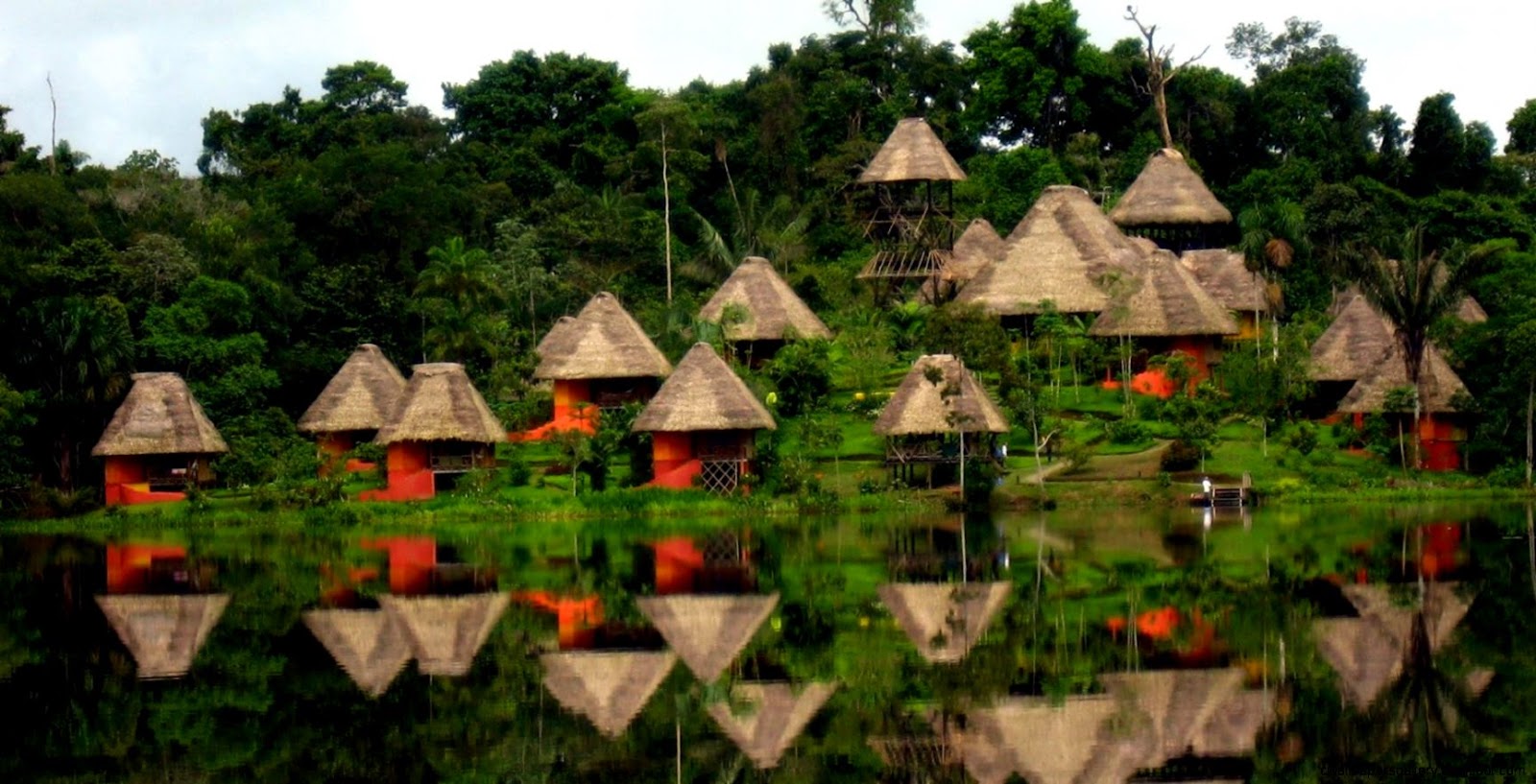 Amazon Rain Forest Tours | Wallpapers Gallery