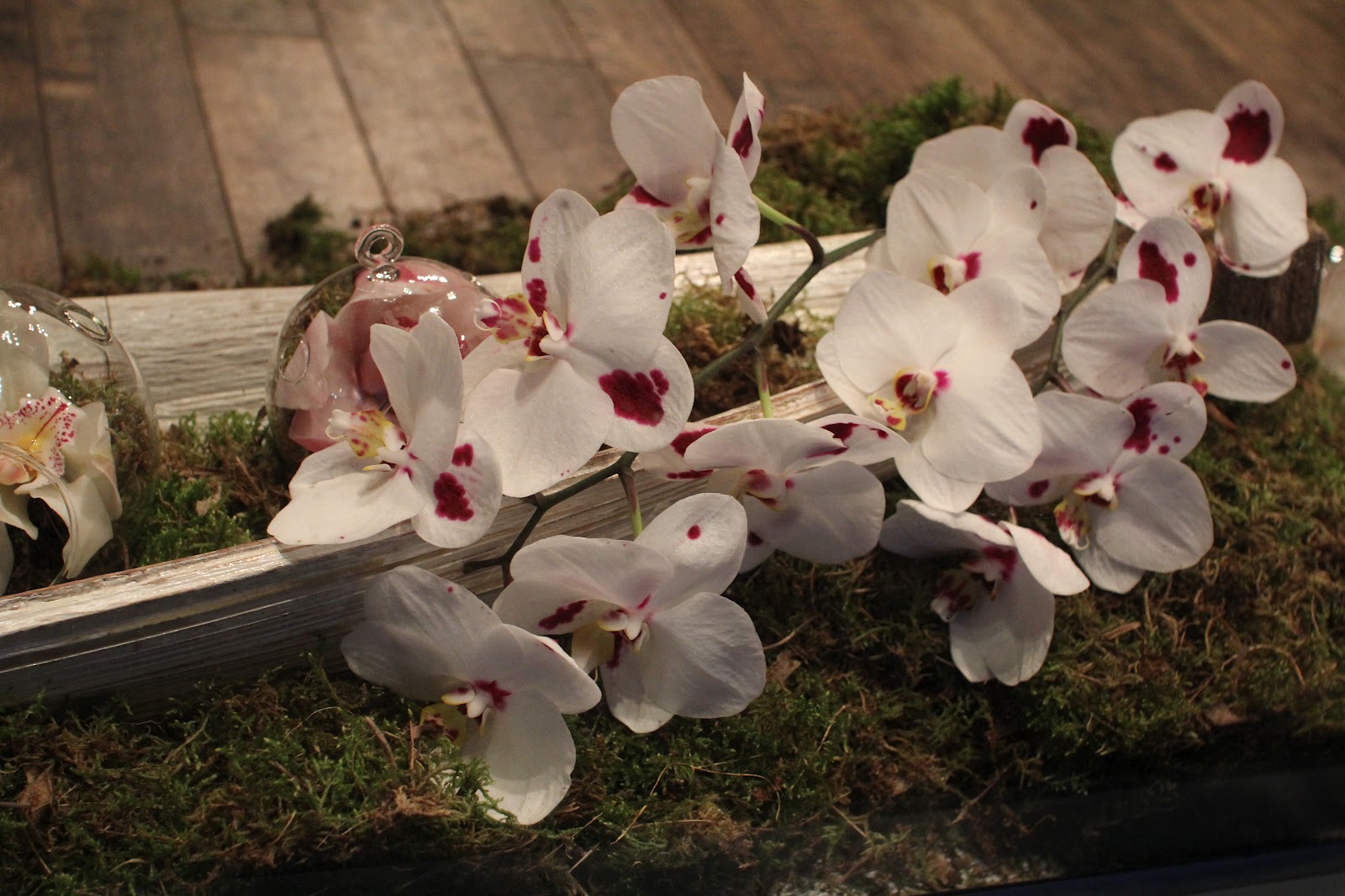 Mordialloc Florist: Mothers Day Window Display