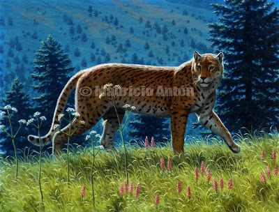 guepardos extintos Miarcinonyx