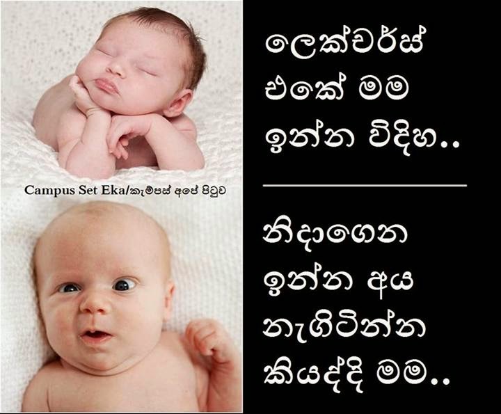 Sri Lanka University News Education Campus School ශ ර