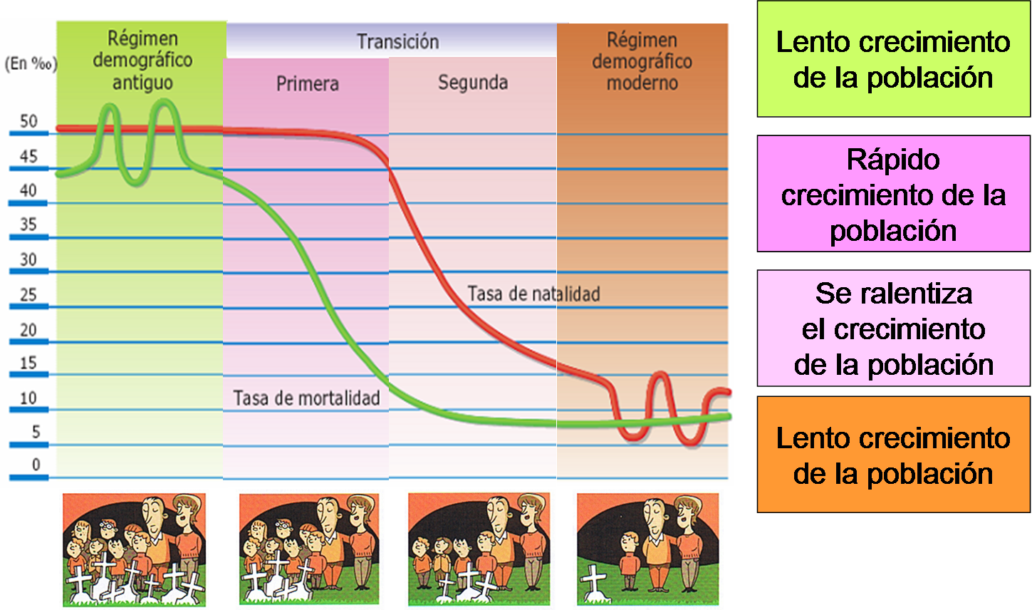 GEOGRAFÍA 3º ESO Modelo de Transición demográfica GEOGRAFÍA 3º ESO Modelo de Transición demográfica