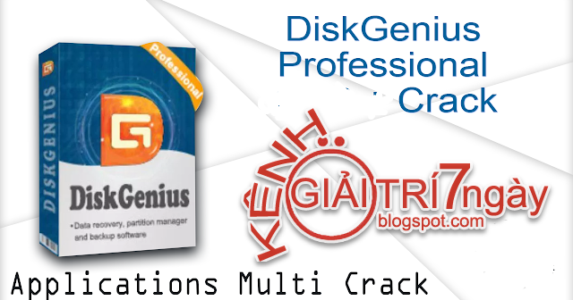 diskgenius 3.2 crack