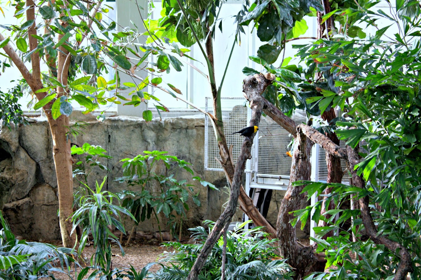 Thanksgiving in san antonio riverwalk