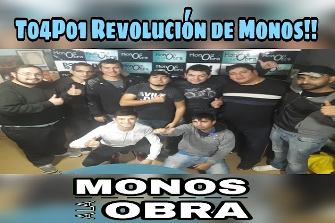 Revolución de Monos!!!