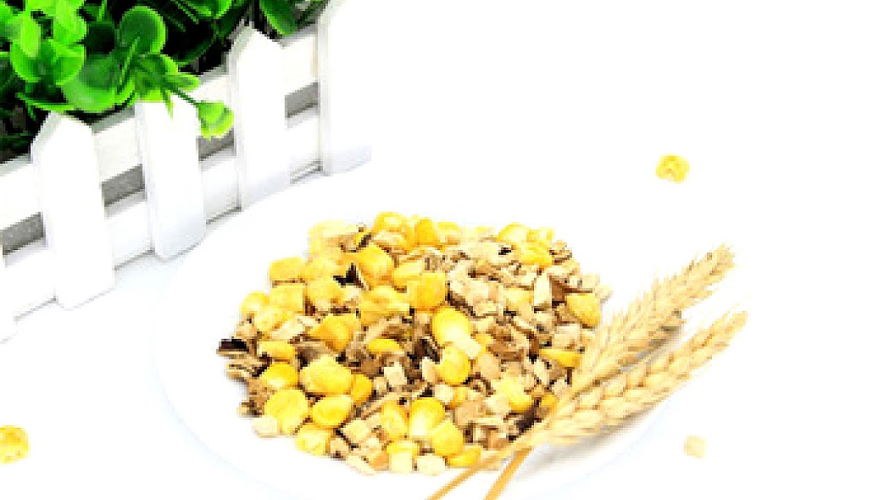 Freezedrying Dried Vegetables Bulk Vege Choices