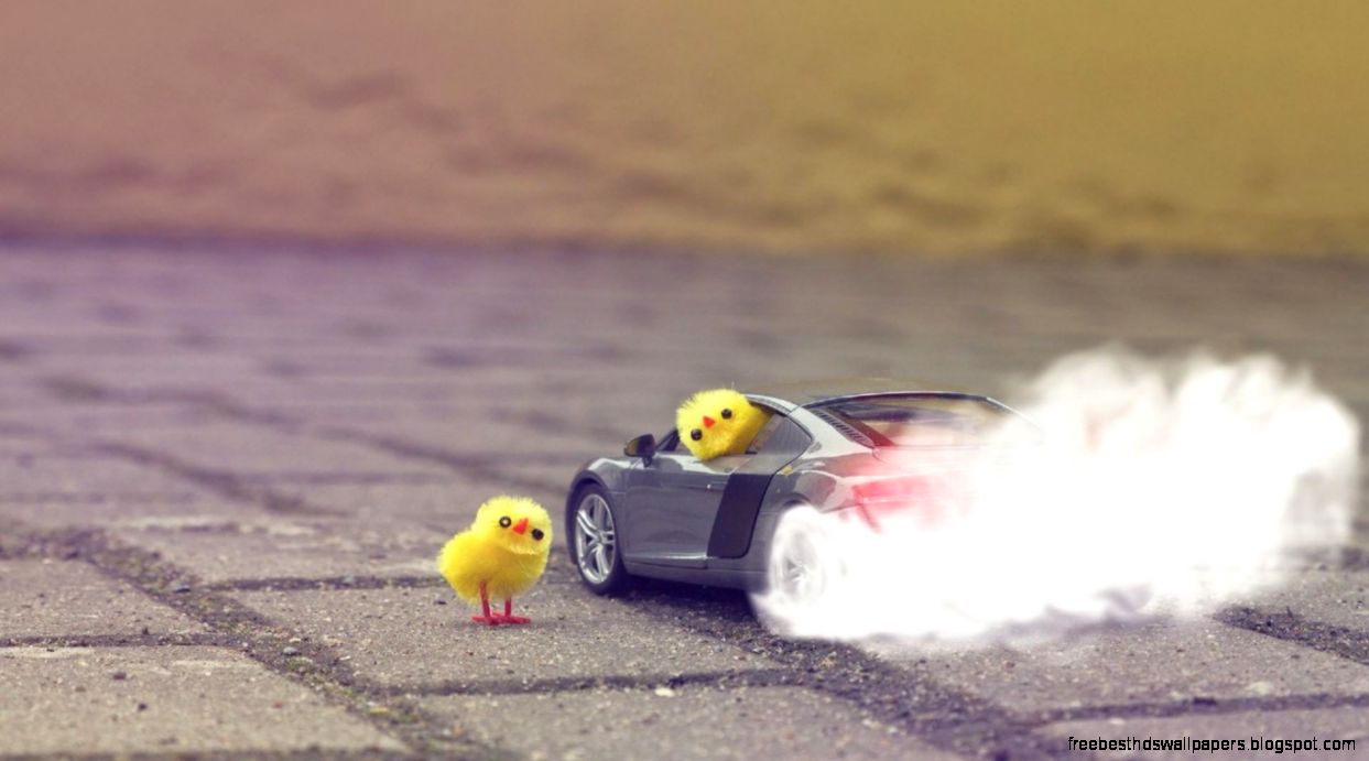 Funny Chick Car – wallpapers is