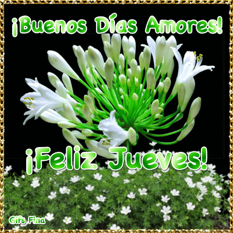 Resultado de imagen para HOLA BUENAS TARDES  JUEVES gifs fina