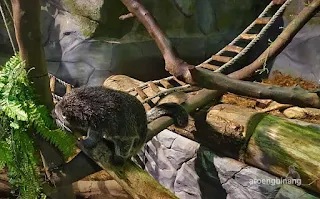 jakarta aquarium neo soho