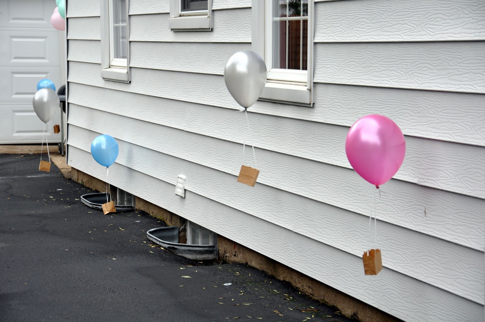 A New Type of Nesting: Hot Air Balloon Party