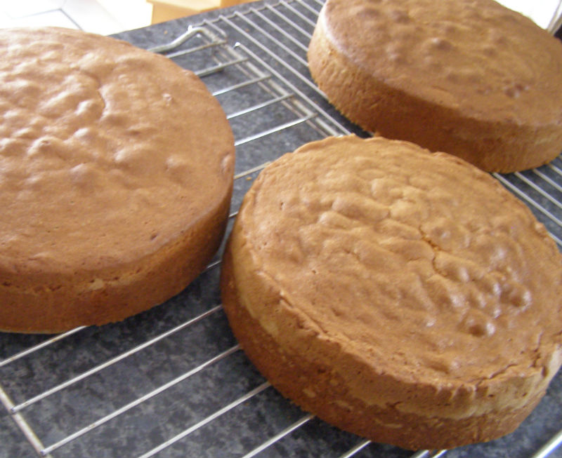 Fan My Flame: Cake Testing