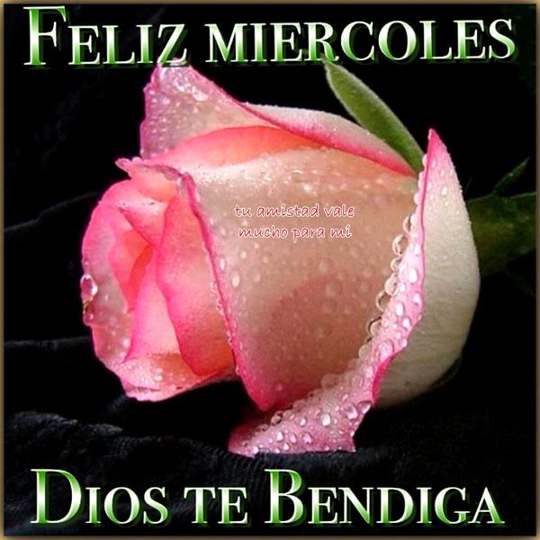 Image result for imagen feliz miercoles dios te bendiga