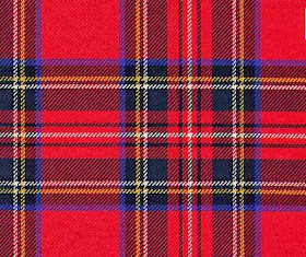 SolaDunn's Blog: The PLAID trend - would you wear?
