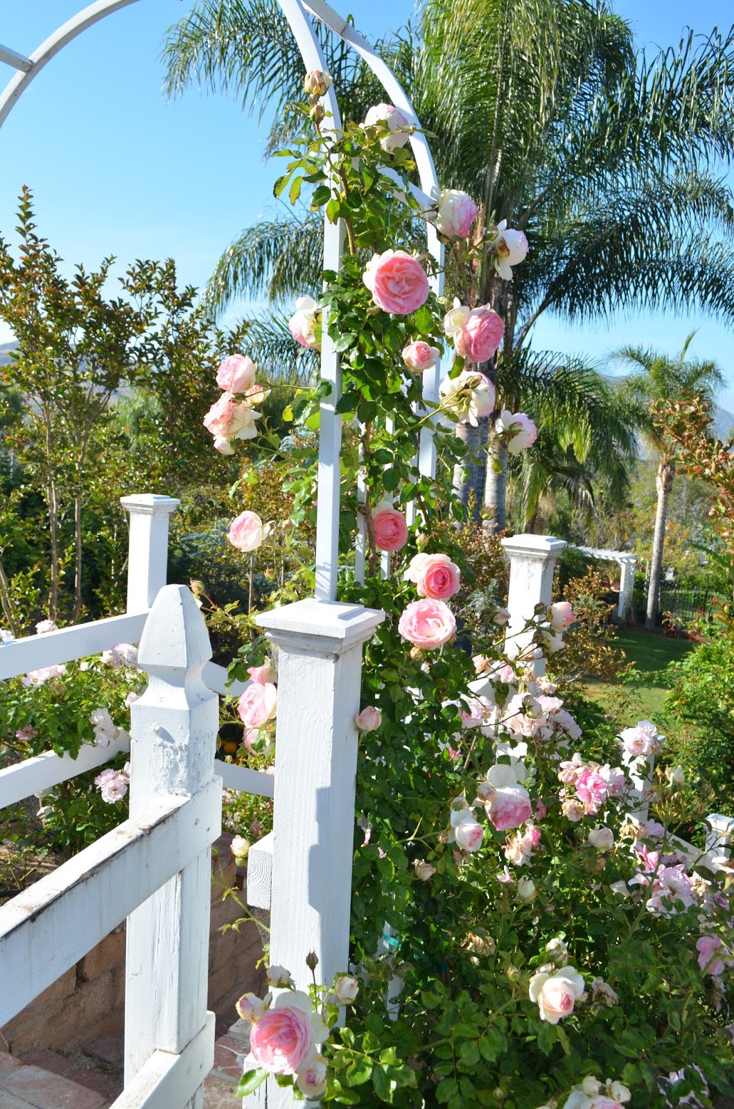 Entertaining From an Ethnic Indian Kitchen