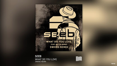 Seeb - What Do You Love ( SWIING #Remix ) ft. Jacob Banks