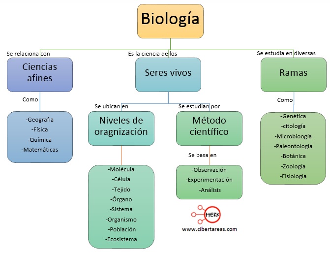mapa conseptual de biologia