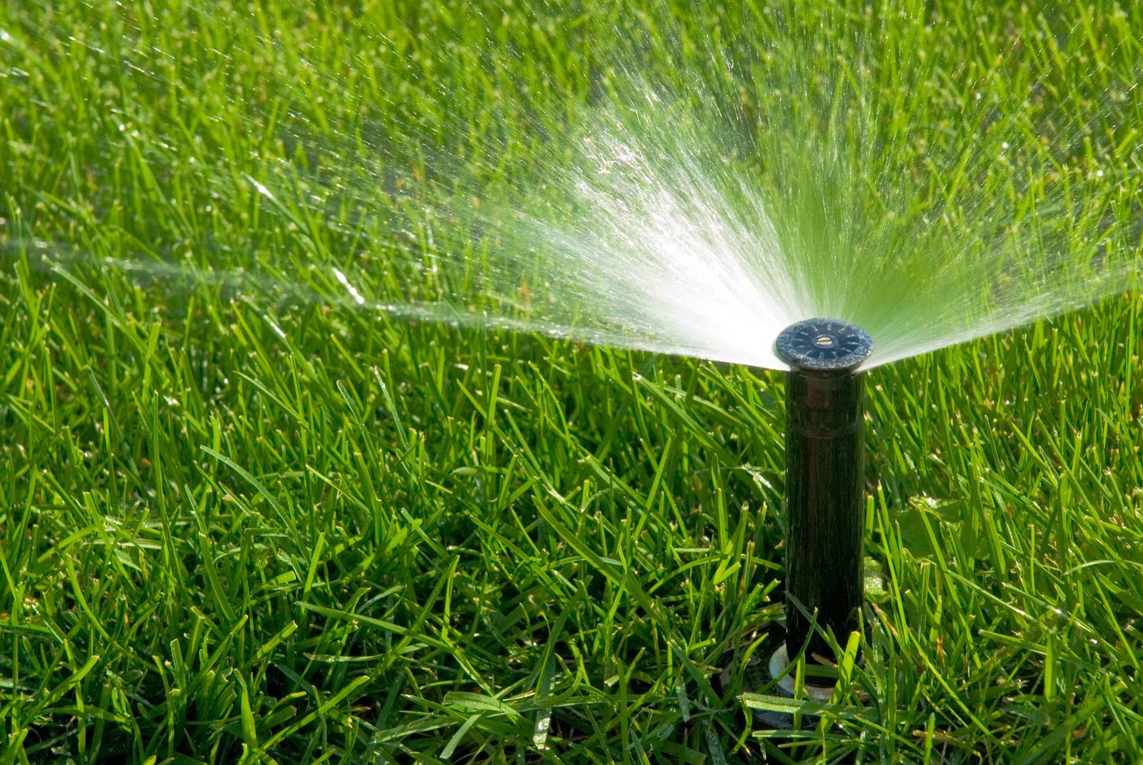 Sprinkler Master Repair Meridian, ID (208) 3983471 How to Replace
