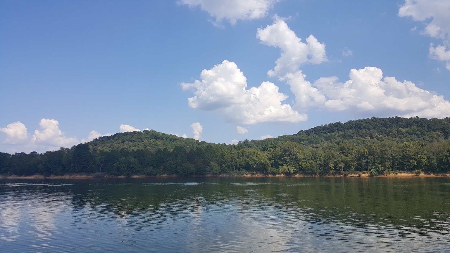 Voyages of the Hydrophilic 9/23 Tennessee River to Clifton, Tennessee