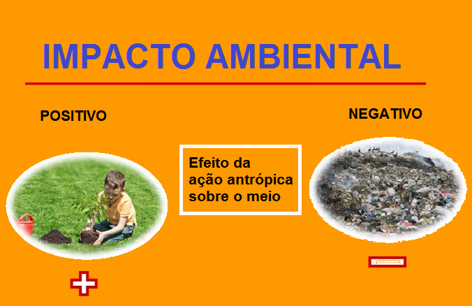 Cite Dois Exemplos De Impactos Ambientais Resultantes Dessas Técnicas