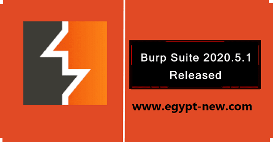 Burp Suite 2020.5.1 - إصلاح الأخطاء والتحسينات لمشرف رسالة HTTP