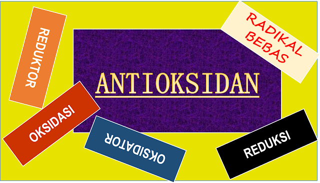 Antioksidan dan Radikal Bebas