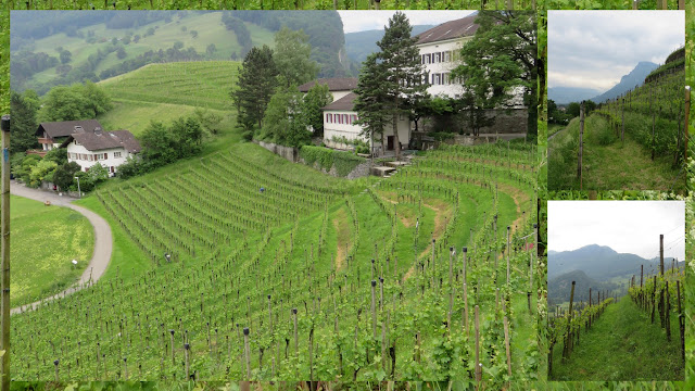 Zurich to Liechtenstein day trip: Vineyards in Balzers, Liechtenstein Zurich to Liechtenstein day trip: Vineyards in Balzers, Liechtenstein