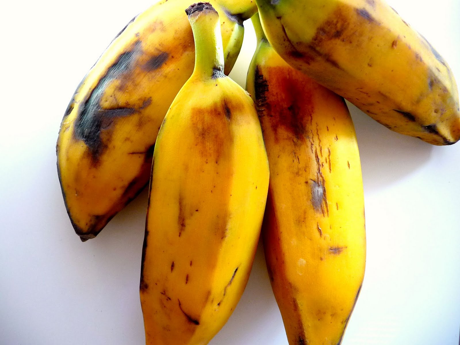 Asian Bananas 113