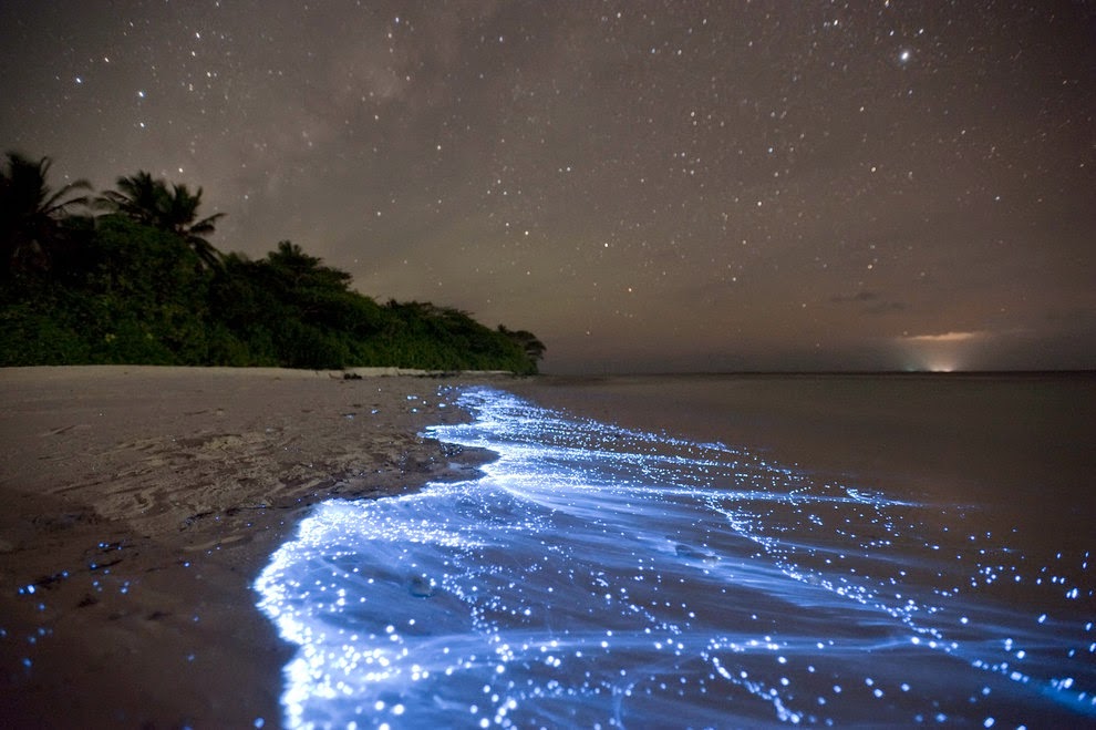 playa de noche, con tonos fosforescentes azules