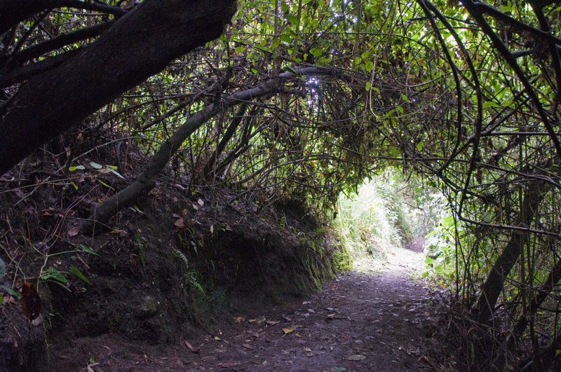 Follow The Sykes Birds TBL Senderos