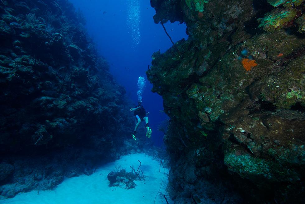Scuba Diving in Honduras Útila