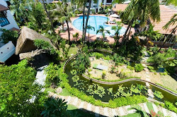 garden modern tropical designs