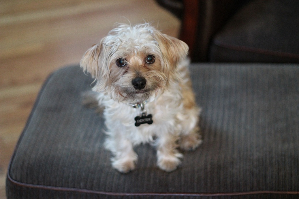 Woodn't Ya Know It... Craigslist Fail