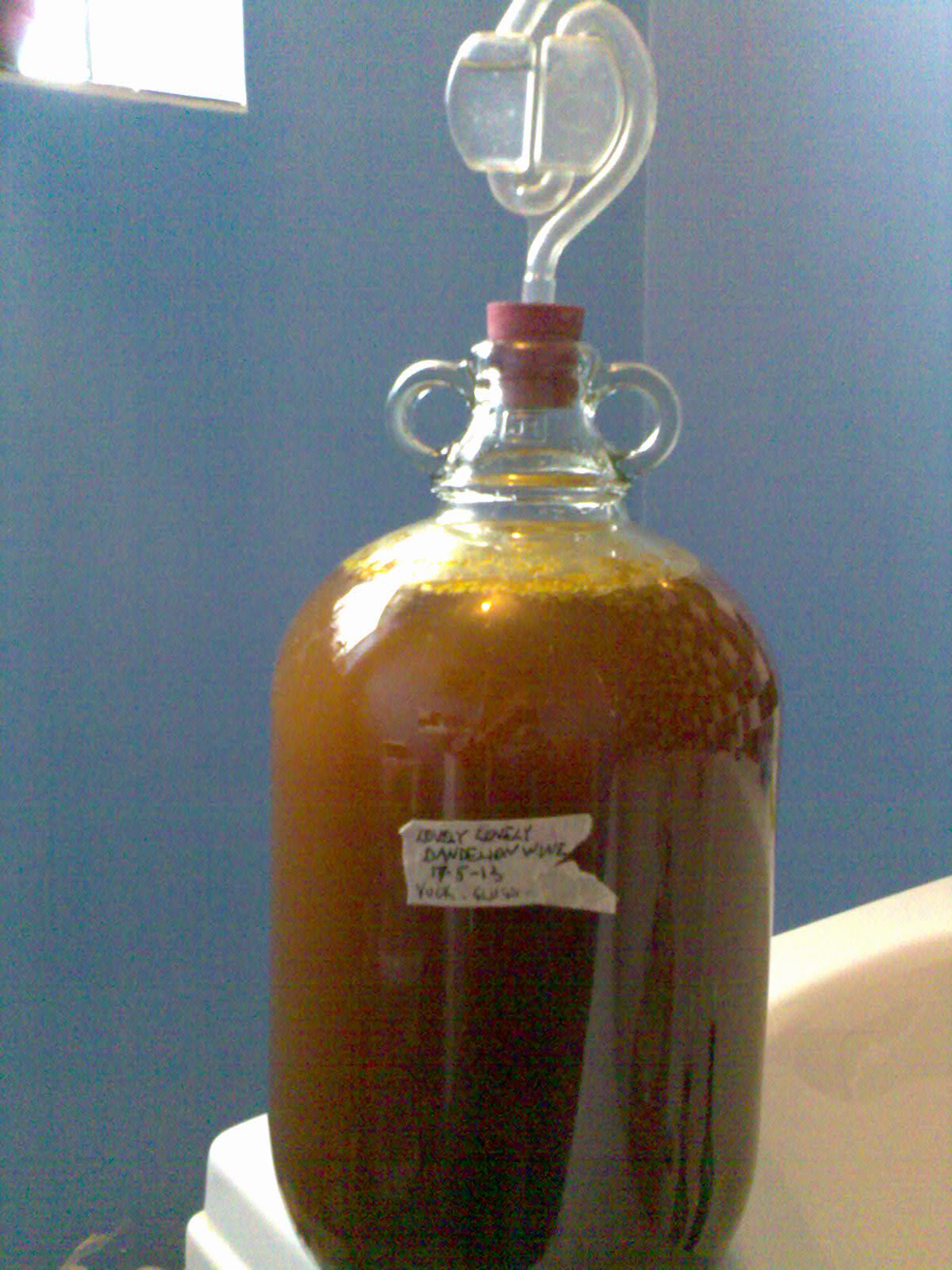 Ben's Adventures in Wine Making Dandelion Wine 2013 The Making Of