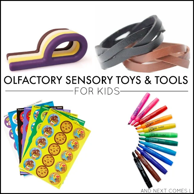 Olfactory sensory tools and toys