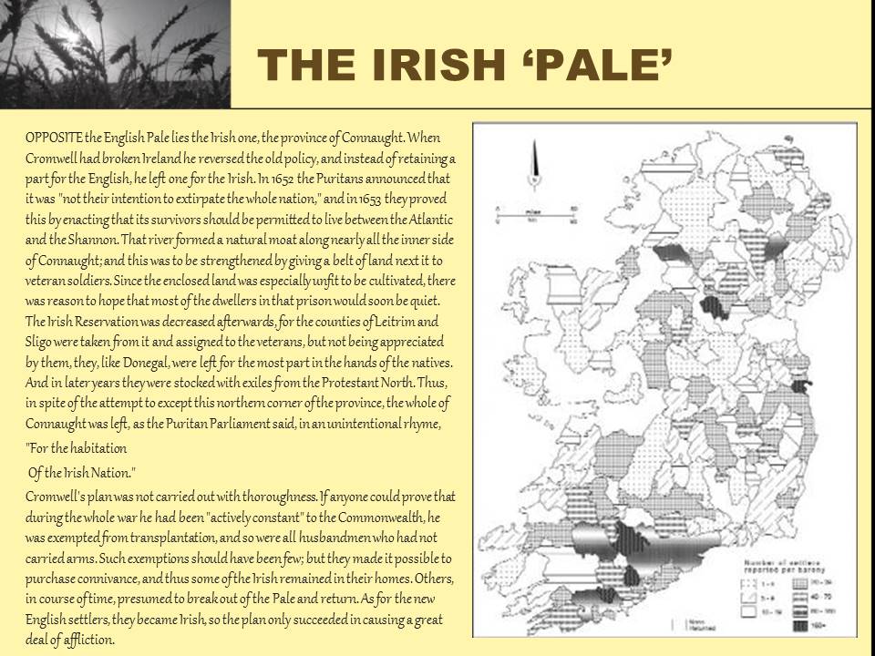 Purple Plum Fairy January 2020