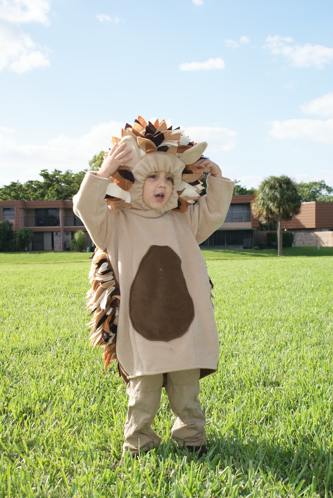 I Hold All The Cards Hedgehog Costumes