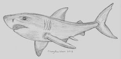 shark pencil cool drawing sketches drawings easy sketch awesome draw impressive word drawingartpedia paintingvalley